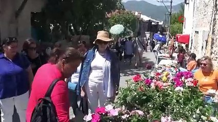 Muğla'da ormanda toplandı, duyulmamış fiyata satıldı: Kilosu 10 bin TL!