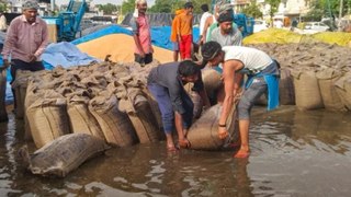 Punjab-Haryana Weather: पंजाब और हरियाणा में ओलावृष्टि, किसानों की फसल बर्बाद