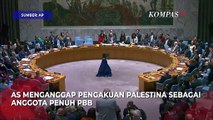 Ini Alasan AS Tolak Palestina Jadi Anggota PBB