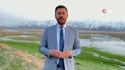 Görüntüler Hakkari'den! Brezilya'nın 'Yılan Adası'nı andırıyor, görenler korkudan yanaşamadı