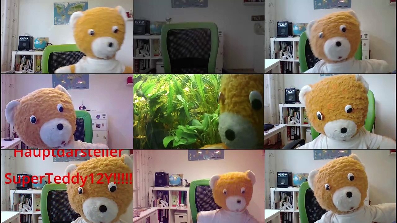 020 SuperTeddy SuperShow