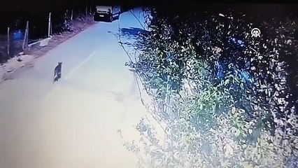 Sakarya'da akıl almaz hırsızlık!