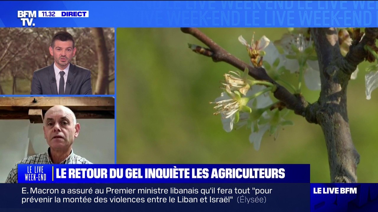 "La récolte peut être impactée dans des proportions qui vont de 20% à 80% selon l'intensité du gel", estime François Cazin, viticulteur et président de la fédération des associations viticoles