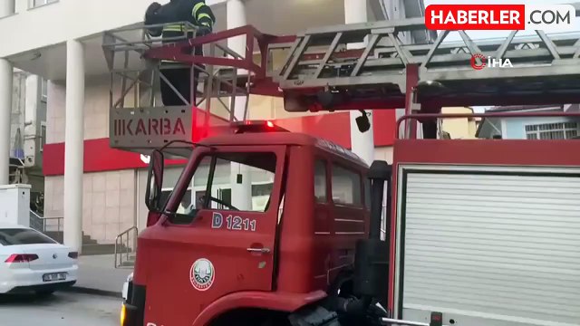 Ağaçta mahsur kalan yavru kediyi itfaiye ekipleri kurtardı