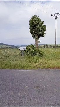 Du vent aux Estables