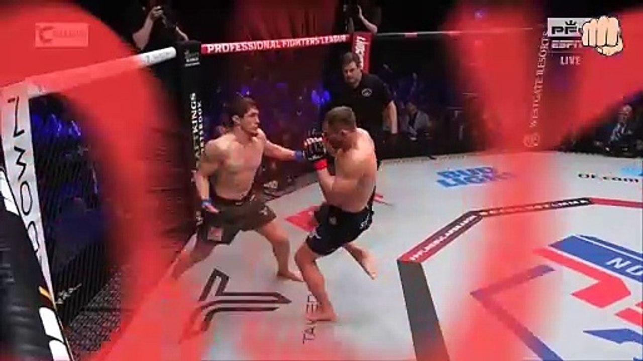 Shamil Musaev vs Logan Storley Highlights KO!