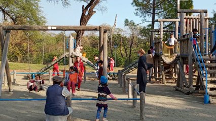 Swings #trending #viral #foryou #reels #beautiful #love #funny #delicious #fun #love #yummy #tiktok #facebook #reel #status #whatsapp #trend