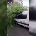 Maltepe'de park halindeki 2 aracın üzerine ağaç devrildi