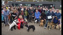 Protest against the dog beach ban in Hastings Old Town, East Sussex, on April 20 2024
