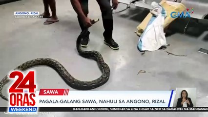 Pagala-galang sawa, nahuli sa Angono, Rizal | 24 Oras Weekend