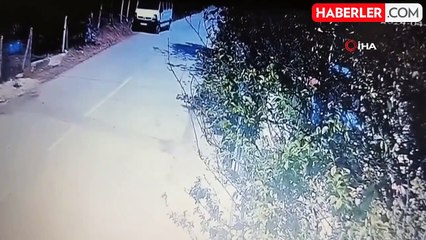 Sokak Köpeği Çalındığı Sanılan Çantayı Alarak Gitti