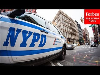 NYC Public Defender: The Police Commissioner Has A Financial Incentive To Say 'Our City Is Unsafe'