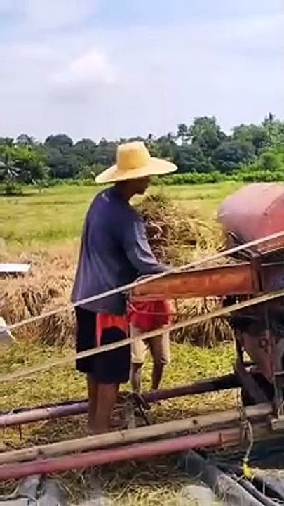 buhay probinsya