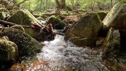 "Bien-être" Eau Feuille Bulle - Relaxation - Détente