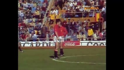 Spain v Sweden Group Three 11-06-1978