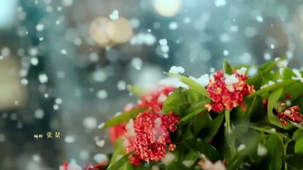 [ENG 16] False Face and True Feelings (2024)