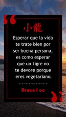 Frases cortas