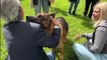 Günther VI, il cane più ricco del mondo, adotta la cucciola CindyCane Bergamo: il video