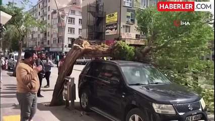 Fırtınada ağaç cipin üzerine devrildi, çatılar uçtu
