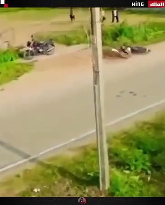 Animals attack on humans