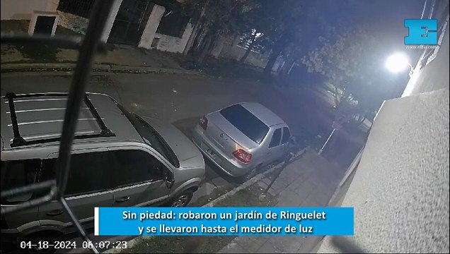 Sin piedad: robaron un jardín de Ringuelet y se llevaron hasta el medidor de luz