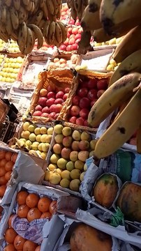 Travel vlogs | tour vlogs | trips vlogs