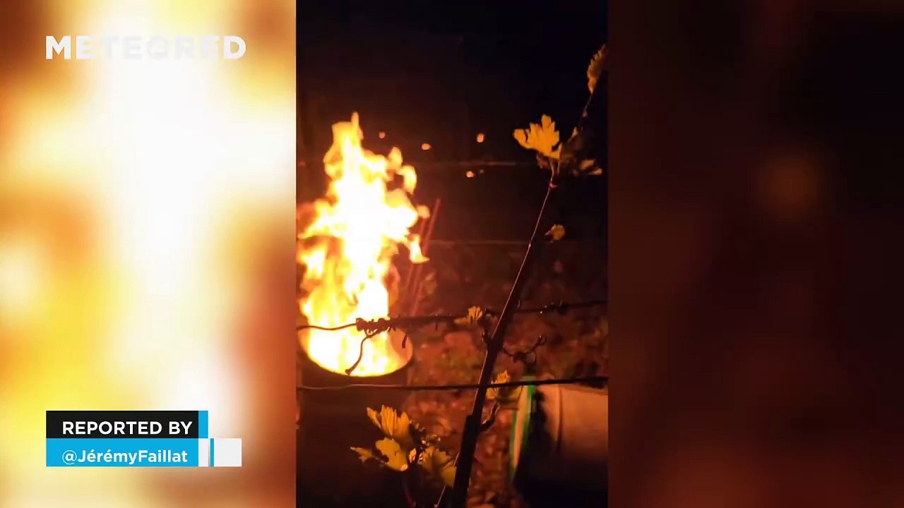 The vineyards of Chablis are lit up at night to combat the frost, in France