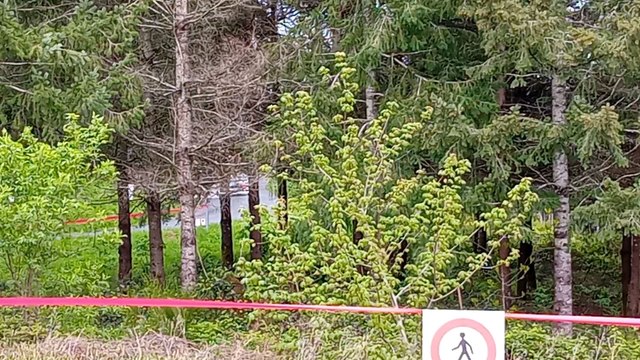 Julien Bidaud Rallye Rhônes-Charbonnieres 2024, Quand tu vois des personnes qui te montre leurs c***! ‍♂️