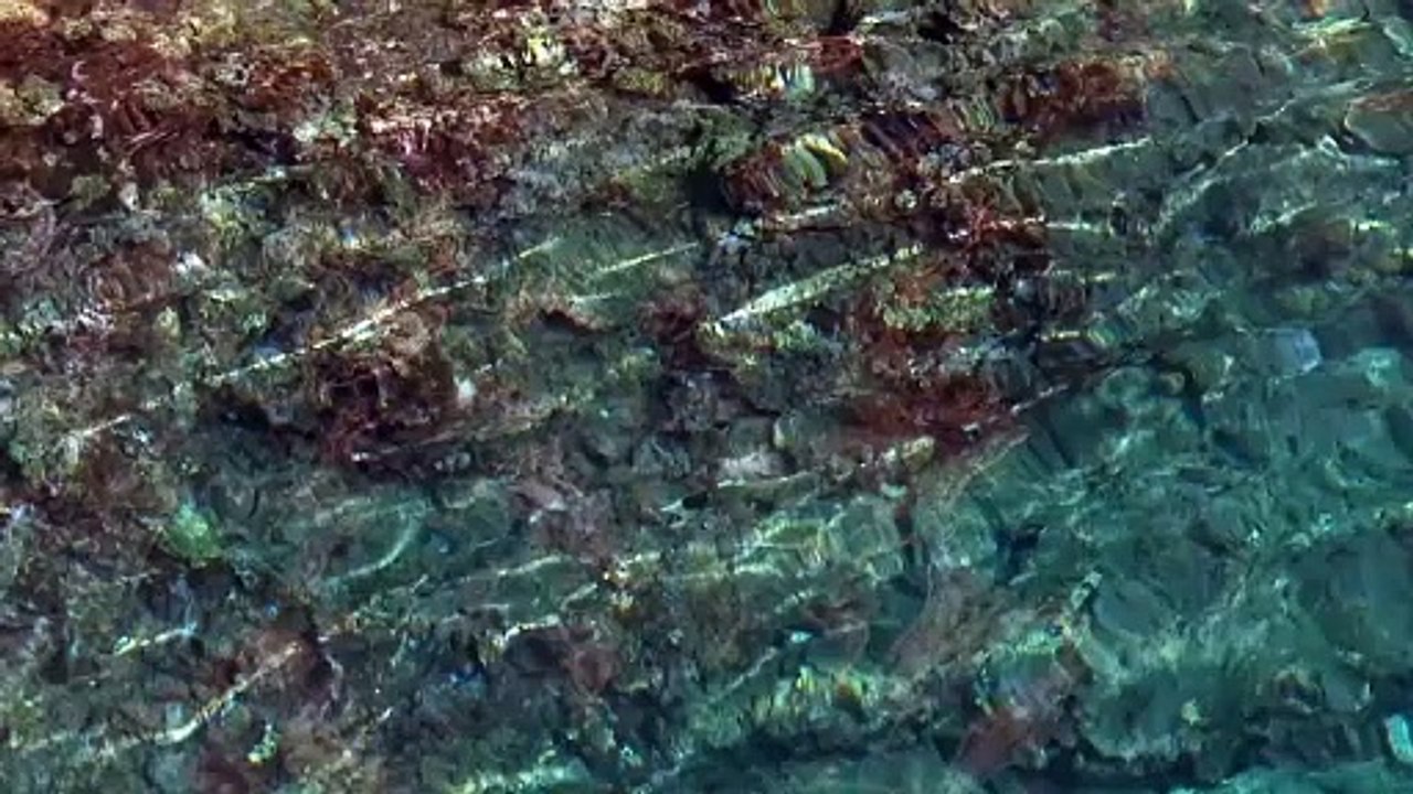 Calm Sea