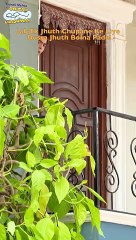 Share If You Agree! #tmkoc #tmkocsmileofindia #jethalal #funny #viral #trending #comedy #funnyvideo