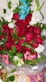 Beautiful Flowers #trending #viral #foryou #reels #beautiful #love #funny #delicious #fun #love #yummy #tiktok #facebook #reel #status #whatsapp #trend