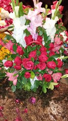 Bokeh #trending #viral #foryou #reels #beautiful #love #funny #delicious #fun #love #yummy #tiktok #facebook #reel #status #whatsapp #trend