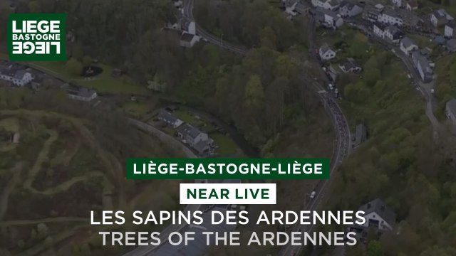 Liège-Bastogne-Liège 2024 - Trees of the Ardennes