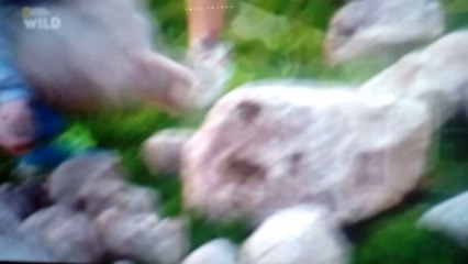 Les génies  des bassins  S01E02