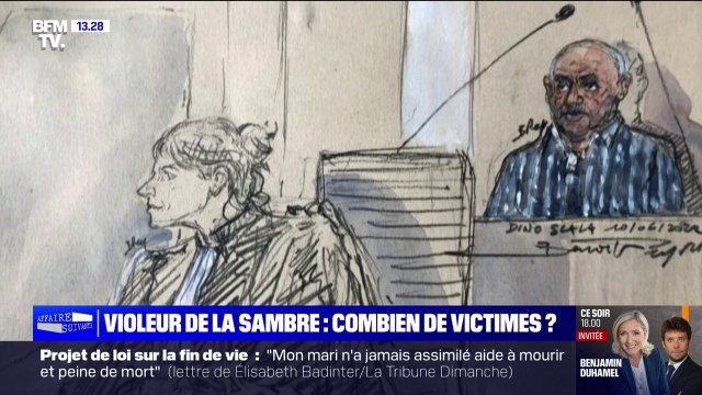 Combien de victimes de Dino Scala, le violeur de la Sambre ?