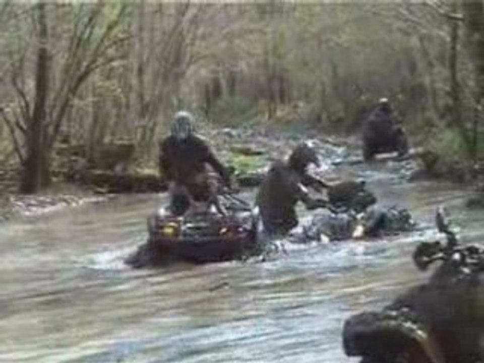 Course de crapaud