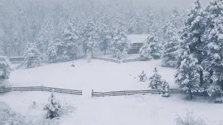 Fresh Snowfall Covers Everything in Pine, Colorado