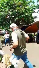 the wedding ceremony