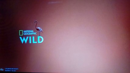 Les génies des bassins S01E03