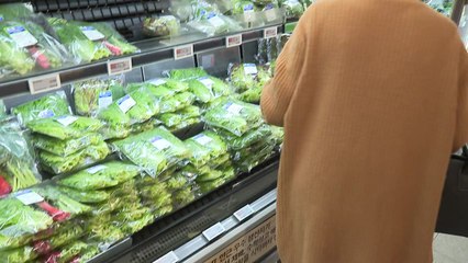 한국 식품 인플레...OECD 평균 추월, 35개국 중 3위 / YTN