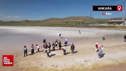 Tuz Gölü pembeleşmeye başladı, turistler akın etti