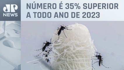 Brasil registra 1.601 óbitos por dengue em 2024