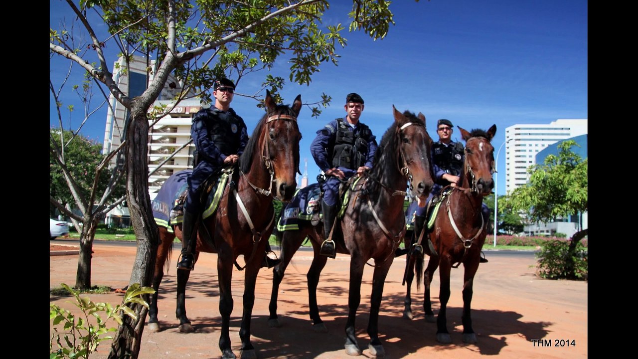 (169) BRASILIEN Sehenswert 3 | Mata Grosso/do Sul, Goiânia, Brasília, Paraná, Rio Grande, Santa Ana