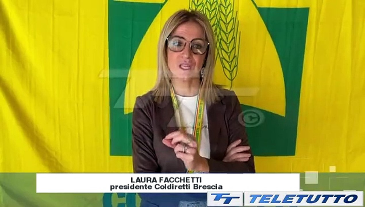 Video News - Peste suina: allarme anche nel bresciano