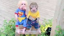 Monkey