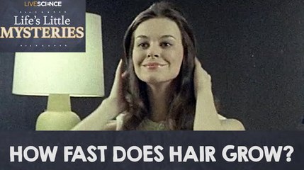 Discover How Fast Hair Truly Grows: The Surprising Facts 📈