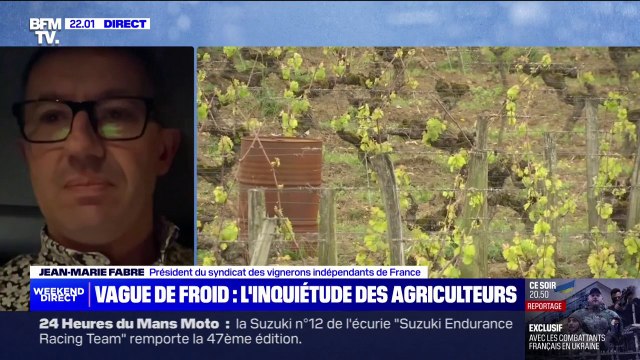 Jean-Marie Fabre (vigneron dans l'Aude, patrons des vignerons indépendants) s'inquiète de voir ses récoltes amputées partiellement ou totalement à cause des gelées
