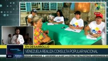Participación del pueblo venezolano ha sido muy activa en la consulta popular