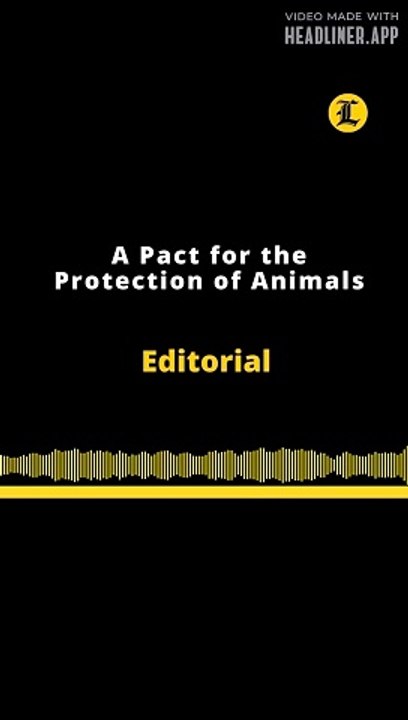 Editorial en inglés | A Pact for the Protecction of Animals