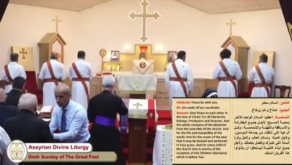 Elon Musk's response to Sydney stabbing footage prompts fury, with vows to crack down on social media giants